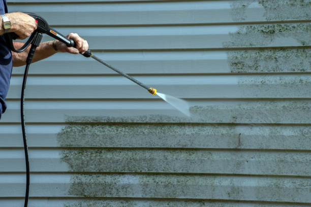 Best Roof Washing  in East Palatka, FL
