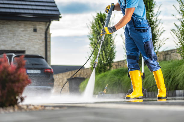 Best Solar Panel Cleaning  in East Palatka, FL